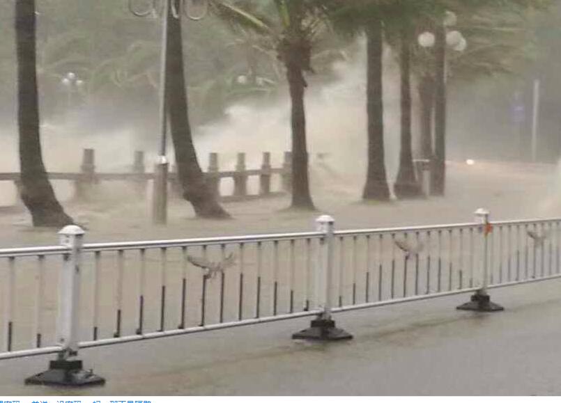 台风“天鸽”后海鸥护栏屹立不倒